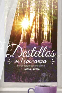 Destellos de esperanza_cover