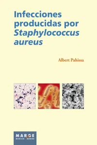 Infecciones producidas por Staphilococcus aureus_cover