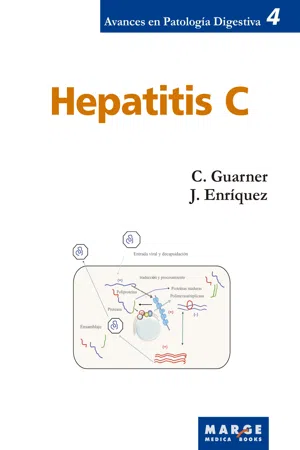 Hepatitis C