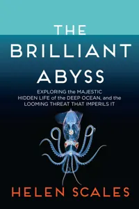 The Brilliant Abyss_cover