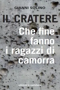 Il cratere_cover