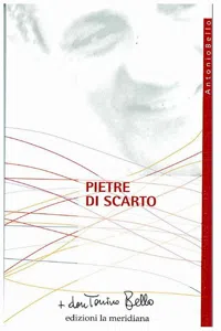 Pietre di scarto. Pagine sulla marginalità_cover