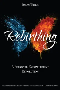 Rebirthing_cover