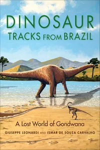 Dinosaur Tracks from Brazil_cover