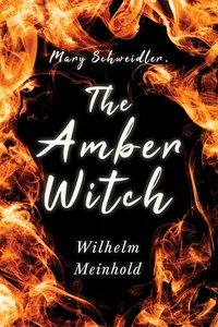 Mary Schweidler, the Amber Witch_cover