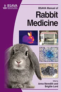 BSAVA Manual of Rabbit Medicine_cover