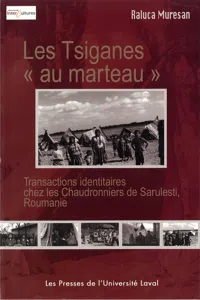 Tsiganes au marteau Les_cover