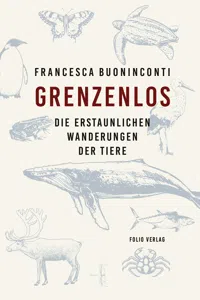 Grenzenlos_cover