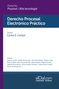 Derecho Procesal Electrónico Práctico_cover