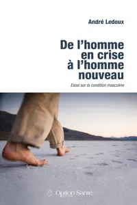 De l'homme en crise à l'homme nouveau : essai sur la condition masculine_cover