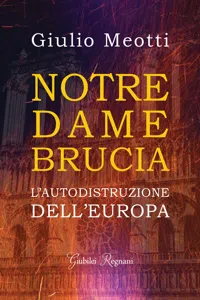 Notre-Dame brucia_cover