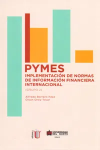 PYMES Implementación de normas de información financiera internacional_cover