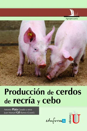 Producción de cerdos de recría y cebo