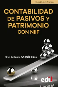 Contabilidad de pasivos y patrimonio con NIIF_cover