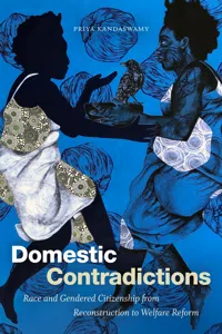 Domestic Contradictions_cover
