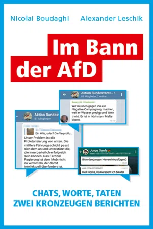 Im Bann der AfD