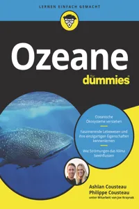 Ozeane für Dummies_cover
