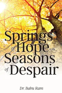 Springs of Hope in the Seasons of Despair_cover