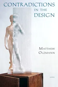 Contradictions in the Design_cover