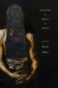 Calling a Wolf a Wolf_cover