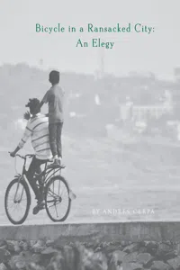 Bicycle in a Ransacked City_cover