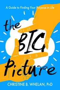 The Big Picture_cover
