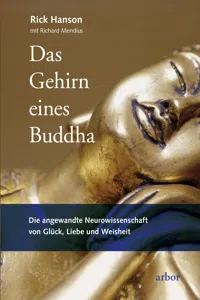 Das Gehirn eines Buddha_cover