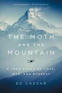 The Moth and the Mountain_cover