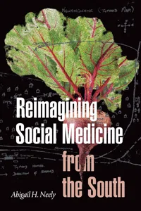 Reimagining Social Medicine from the South_cover