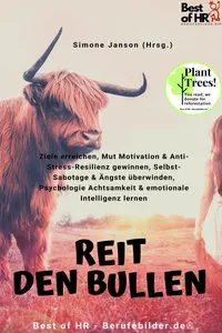 Reit den Bullen_cover