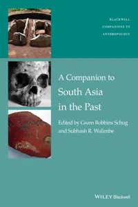 A Companion to South Asia in the Past_cover