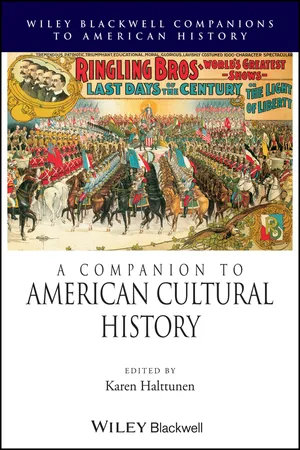 A Companion to American Cultural History