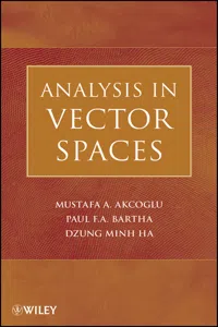 Analysis in Vector Spaces_cover