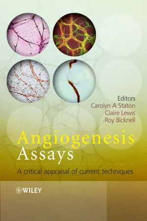 Angiogenesis Assays