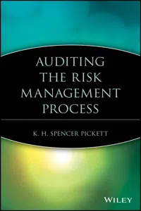 Auditing the Risk Management Process_cover