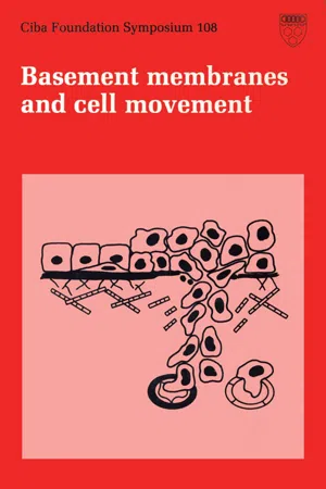 Basement Membranes and Cell Movement