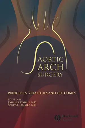 Aortic Arch Surgery