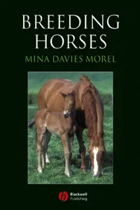 Breeding Horses_cover