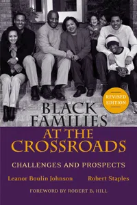 Black Families at the Crossroads_cover
