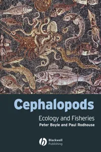 Cephalopods_cover