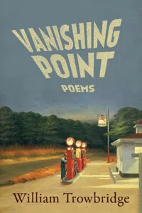Vanishing Point_cover