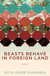 Beasts Behave in Foreign Land_cover