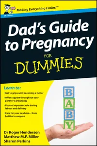 Dad's Guide to Pregnancy For Dummies_cover