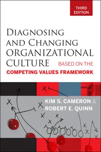Diagnosing and Changing Organizational Culture_cover