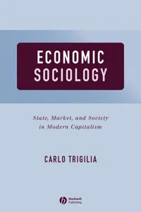 Economic Sociology_cover