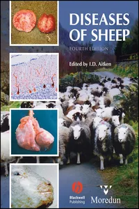 Diseases of Sheep_cover