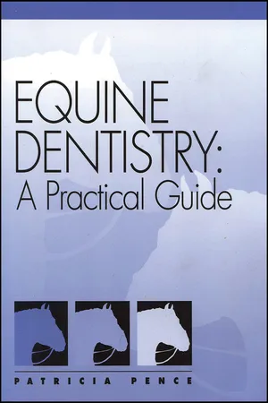 Equine Dentistry
