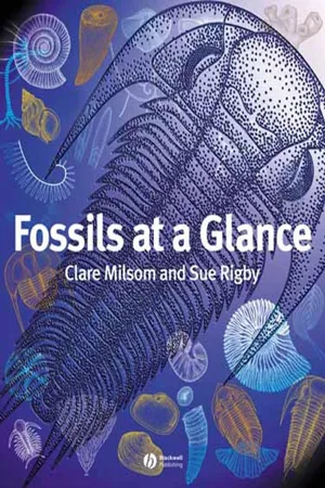 Fossils at a Glance