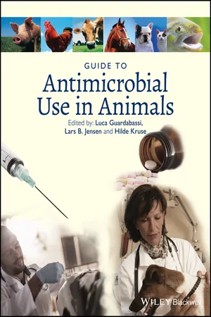 Book cover image for: Guide to Antimicrobial Use in Animals