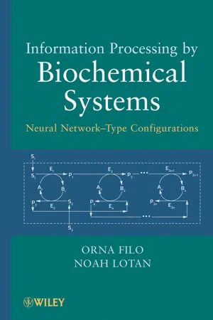 Information Processing by Biochemical Systems